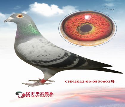 ����������� ���еı��� �ö��� �����