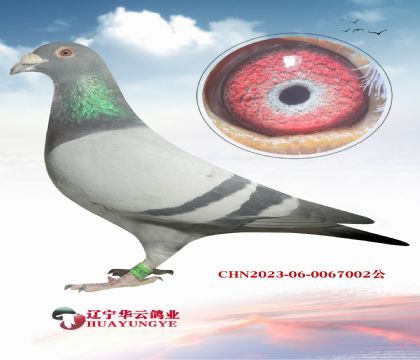 ���ǲ���������X����.�ϲ�����������Ů