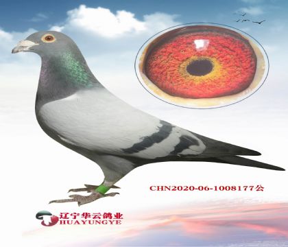 ���ڶ������ҵĿ�����  ���Ծ�֪����������