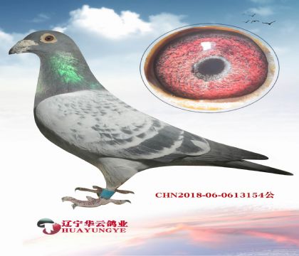 ���������۴ơ�ֱ��X������ƥ��������