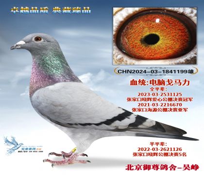 ���Թ���ھ�ȫƽ��