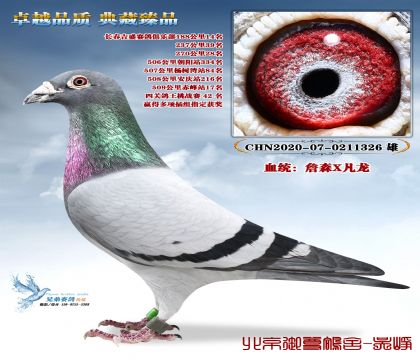 ղɭX���� ��θ�λ��