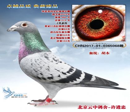 �ӱ����ž���213�������������ｱ��