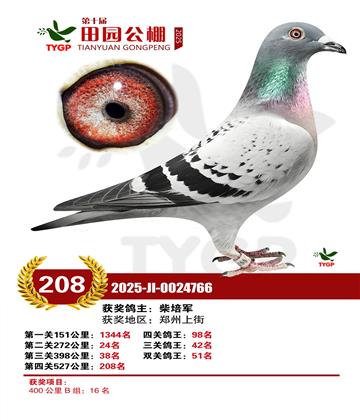 ֣����԰����208��