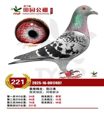 ֣����԰����221��