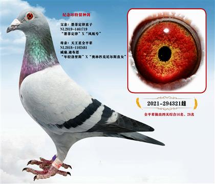 ����.�ϲ�����ī�ƶ��ɡ�ֱ��X�������ǡ�ȫƽ��