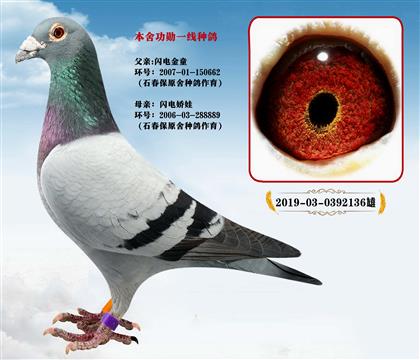 ��ѫһ���ָ롢ʯ����ɣ��ʿ�����罿��X�������ӡ�