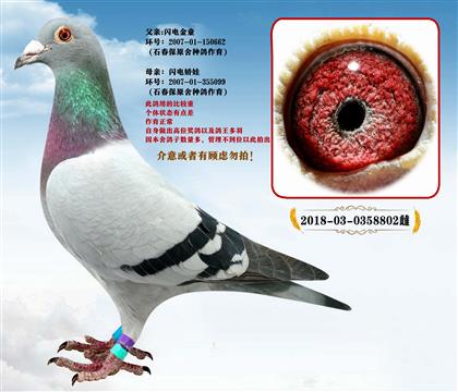 �����ָ롢ʯ����ɣ��ʿ�����罿��X�������ӡ�����