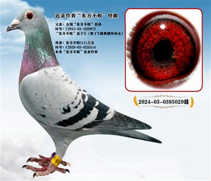 ���ײ�����ۡ����趫������ֱ��X����1111ֱŮ