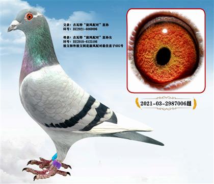 �����ء�������ԡ�ֱ��Xֱ��Ů