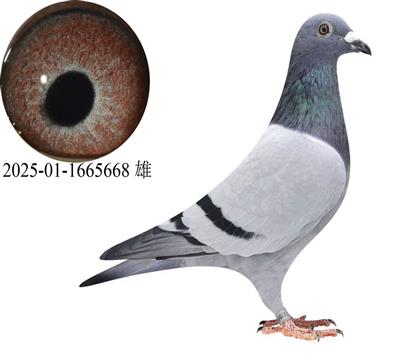 ��������������5668��