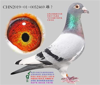 14.��ʿ��Ѫ���.0052469