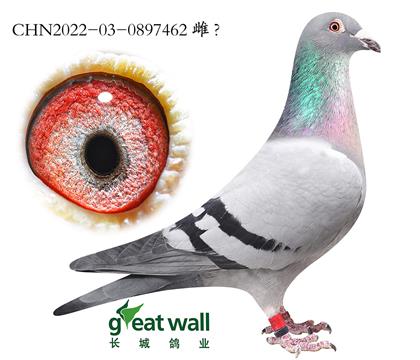 11.���������Ǳ�Ѫϵ.0897462