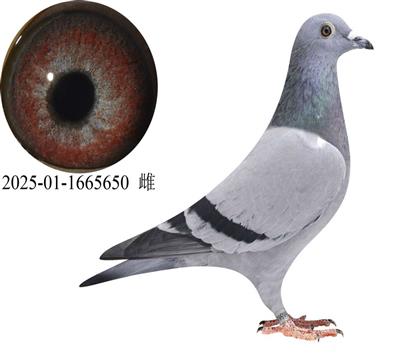 ����ʱKBDB���Ҹ���6��ֱ��Ů5650