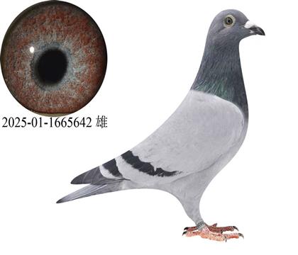 ����˹����23������5642