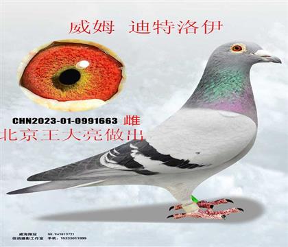 ������������ķ��������