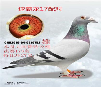 ��ͬ����Qِ173���ر�27���ٰ���