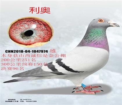 ɽ���\���ǽ����A(y��)ِ150���Qِ96�����W