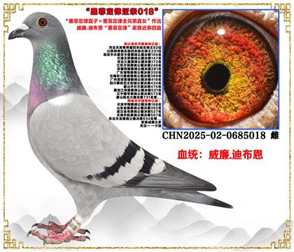 ����.�ϲ�����ī�ƶ���ֱ�ӡ�ī�ƶ���ȫ�ֵ�ֱŮ��