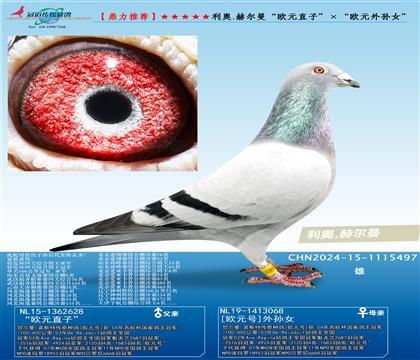 ���W.�ՠ������WԪֱ�ӡ������WԪ��OŮ��