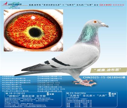 ����.�ϲ�����ī�ƶ���ȫ�ֵܡ��������޺š�ȫ�ֵ�/���󱼡�ֱ