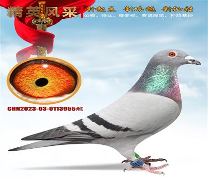 �_�����������@���I(y��)