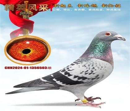 450����18���������������