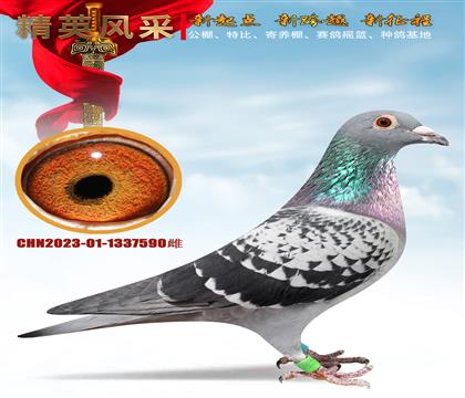 �Lꖇ��H��������