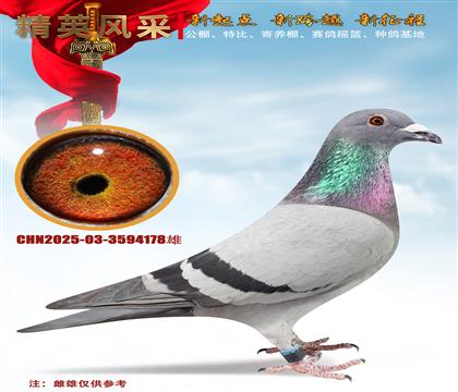 �|�ˇ��H�Lꖇ��H