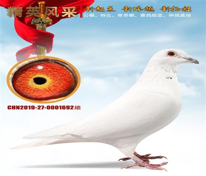 �L�ǻ҉�������