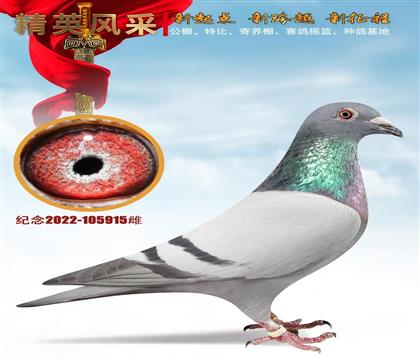 ʯ����ɣ��ʿ���������̖