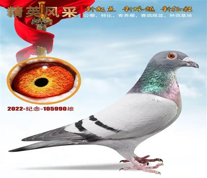 �����o��������܊�����^