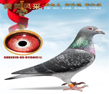 �m������������o��