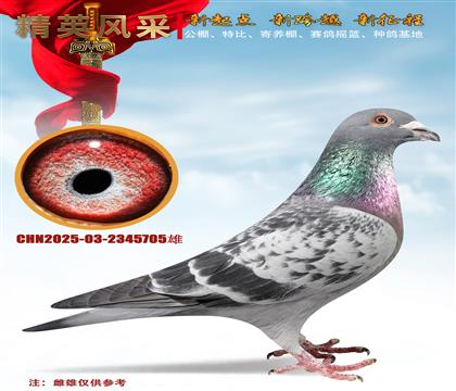 ���ؠ����W��ƥ��003