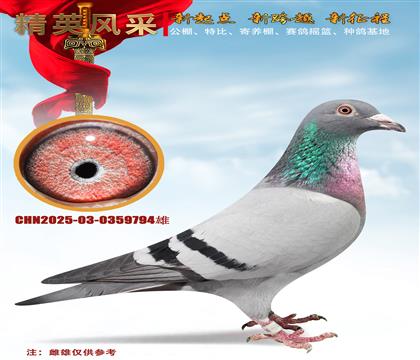 �L�����I(y��)���w��ֱϵ