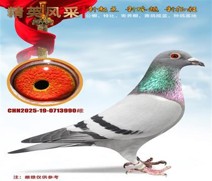 ����ֱ�O���W�̖���ػ�Ѫ