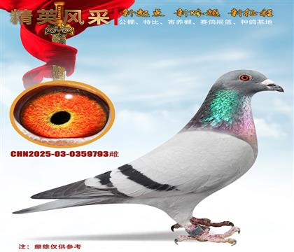 ����ֱ�O���W�̖���ػ�Ѫ