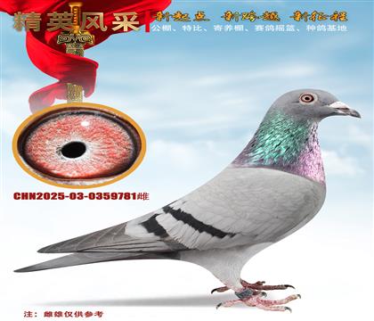 �����_�ۚW���W�ֱ̖��ֱŮ