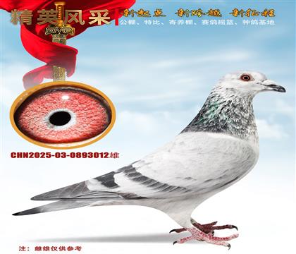 �˵�˹����ţȮ���ػ�Ѫ