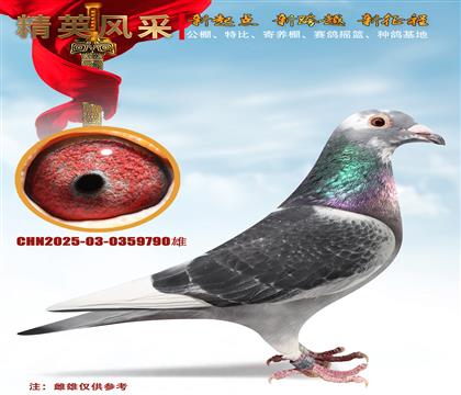 ���ֿ�˹����ţȮ�p�ػ�Ѫ