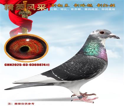 �_������˹��80�fֱ�ӡ����ֿ�˹