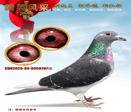 ���ֿ�˹����ţȮ��Ѫ