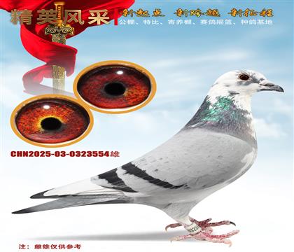 ��������ֱ�������r��911���H