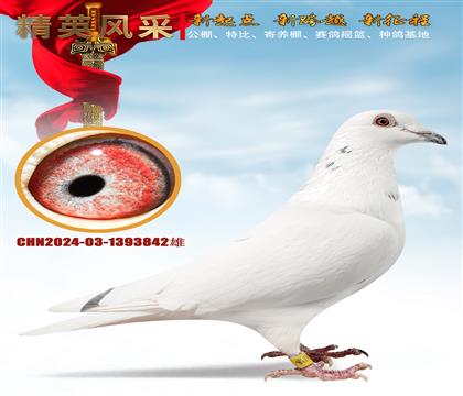 �����n�ס��L�ǳ����״�ֱŮ