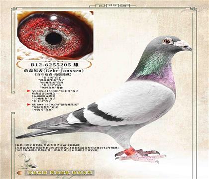 1��ղɭԭ�ᡷ����·��̖(h��o)���^�����