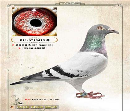 2��ղɭԭ�ᡷ������