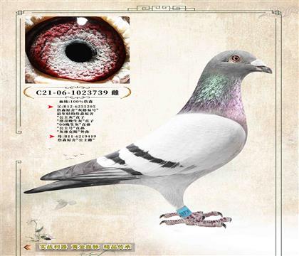 3��ղɭԭ�ᡷֱŮ739