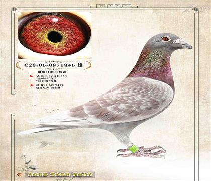 6���������h(hu��n)99��ֱ�O