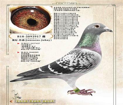 8����(qi��ng)�ᡤղɭ��60������p