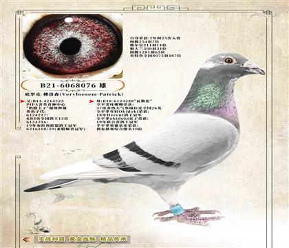 10���ɴ�ˡ�����ɭ��2��25�����p